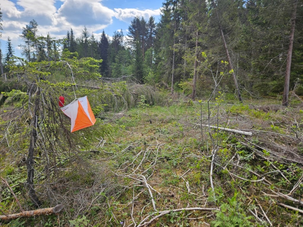 Treningsløp Årbogen